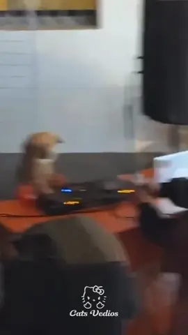 Vai vai vai #foryoupagе #funk #phonk #fyp 