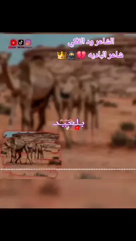 #تصميم_فيديوهات🎶🎤🎬 #تصميم_فيديوهات🎶🎤🎬 #جنيديون🦅🔥❤️اولاد🔥✊️✊️ابوك🔥✌️🇸🇩🐅🔥 #امبردات_🥀👏🏽 #مليون_مشاهدة❤ #جغلا_العز🤞💫💪 