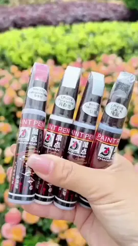 #Caneta de reparos de pintura  de carros  #Shop Tiktok 