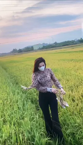 Em là con gái nhà quê! Ngoài việc một ngày đi làm 8 tiếng, còn phải về phụ gặt lúa nữa 🤭
