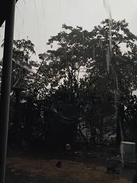 #CapCut hujun ngirincik wae #sorotansemuaorang #fypp 