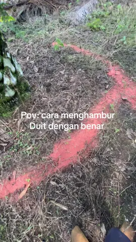 #fyp#petanisawit#pupuksawit#sawitindonesia#sawitsumatra 