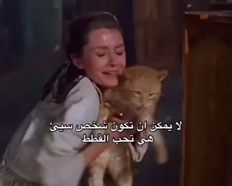 اي احد يحب القطط احس مستحيل يكون يسيئ #trend #tiktok #رياكشن #مالي_خلق_احط_هاشتاقات🧢 #fyp 