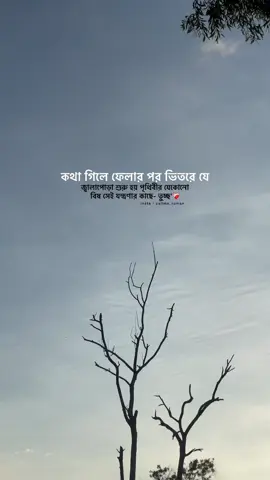 #foryoupage 