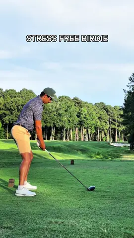2 solid holes ⛳️!! #golf #golftikok #fyp #golfer 
