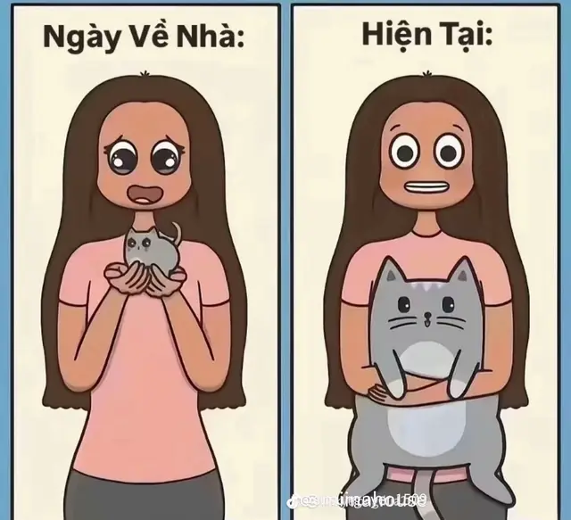 Ảnh lớn ròi  #fypシ゚ #trending #meow #catlover 