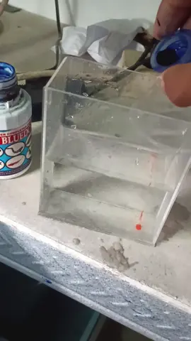 solusi untuk ikan yang sakit👍👍#guppyfish #obatwhitespot #finroot #redbluedox 