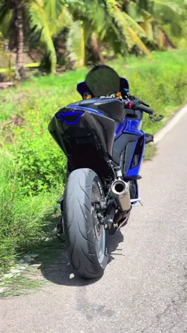 ตอนนี้ได้สีที่จะทำแล้วนะครับเดี๋ยวเจอกันสีใหม่❤️‍🔥##ที่นี่บ้านนาย##ผู้ชายขี่r3##yamaha##ยามาฮ่าดิว่ะ##r3##r25##xmax##xmaxดิว่ะ##americastyle🇺🇸##indostyle🇲🇨##สายยก##พญาลิง##เด็กราชบุรี##ราชบุรีไม่ได้มีดีแค่โอ่ง🤫##ฟีด##fyp##เอาขึ้นหน้าฟีดที##พันธมิตรแบบชําระเงิน