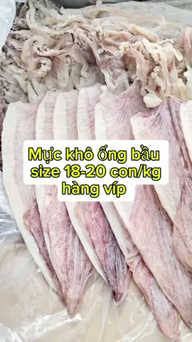 mực hàng víp 18-20 con/kg đặc sản vùng biển.#viralvideo #fyp #vira 