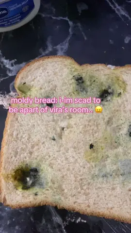foar everywun frum vira’s bread (its food dye and lint) (jar is sugar and water) || #fake #satire #virachuu #boxxy #boxxybabee #blogtv #boburnham #zombiebeatz2000 #meow #chrischan #sonichu #cwc #y2k #2000s #4chan #fortnite #fyp #fypシ #foryoupage  