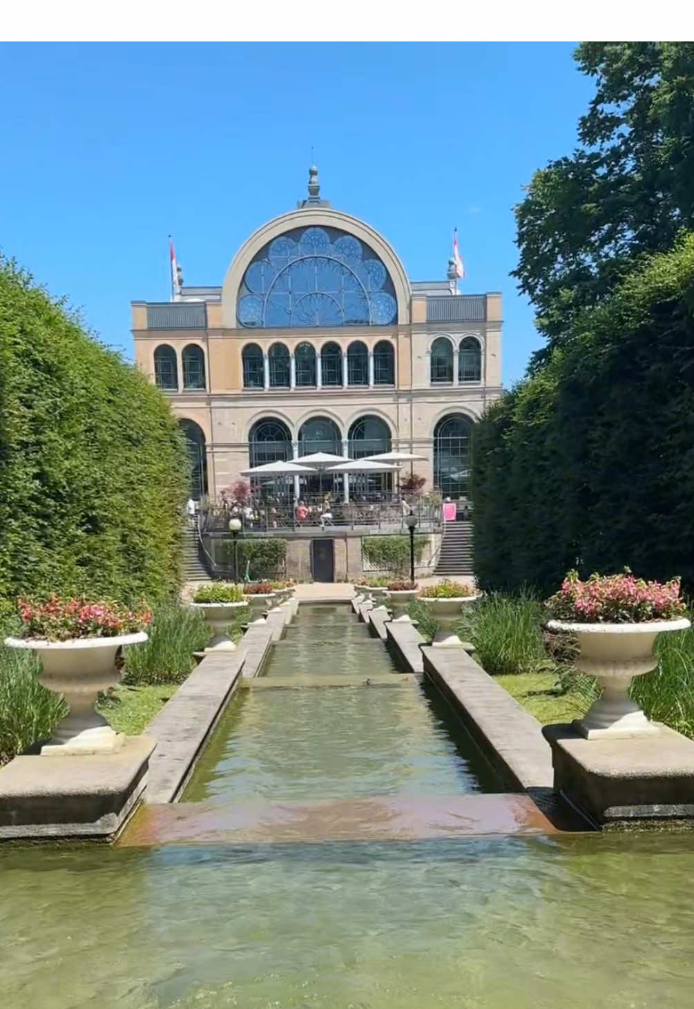 Medizin für die Seele 🩵 #flora #botanischergartenköln #whattodo #park #Summer #blumen #fyp #viral #trending 