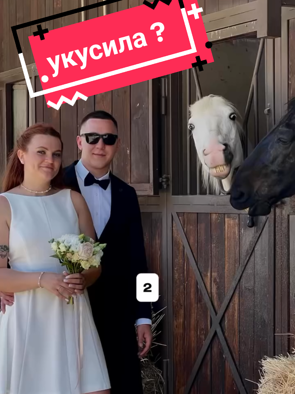 ситуация на свадьбе, что могло пойти не так 