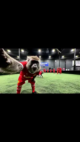 lan buat hal. lepas main futsal terus blah xnk bayar. 