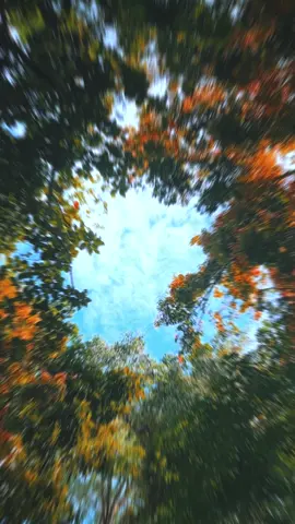 Katuwas Ella  #tavel #nature #waterfall #srilanka #viralvideo #foryou #fyp 