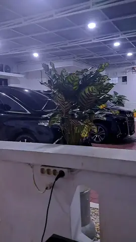 Bg Tarmizi Age (Almukarram) Ketua Influencer Aceh (BP) Mualen-Dek Fad, Malam Ini Sambut Kepulangan Wagub Kesayangan Rakyat Aceh dari Haji, Kita Do'akan Semoga Beliau Menjadi Haji yg Mabrur, Amin. @Fadhlullah, S.E (Dek Fad) @muzakirmanaf1964  #haji #2025  #aneukacehkeren  #mumatdjaroeawakgampong  #acehgoet #muzakirmanaf1964  #fadhlullahdekfad  #gerindra #dpppartaiaceh #aceh #acehviral #Bemeuhase   #indonesia #malaysia #denmark #fyppppppppppppppppppppppp #fypシ゚viral🖤tiktok #fypシ゚viral🖤video   #fypシ #fypp    