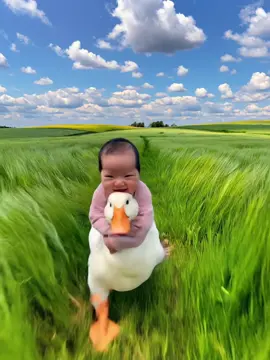 Con vịt con cưỡi con vịt mẹ😂😂😂 #embe #embedangyeu #cute #convit 