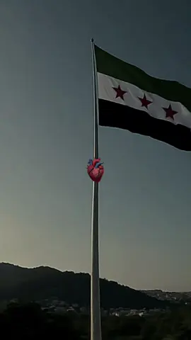 لحقت الترند#منشن #البست_فريند #‏『𓌯𓆩𝐄𓆪』 