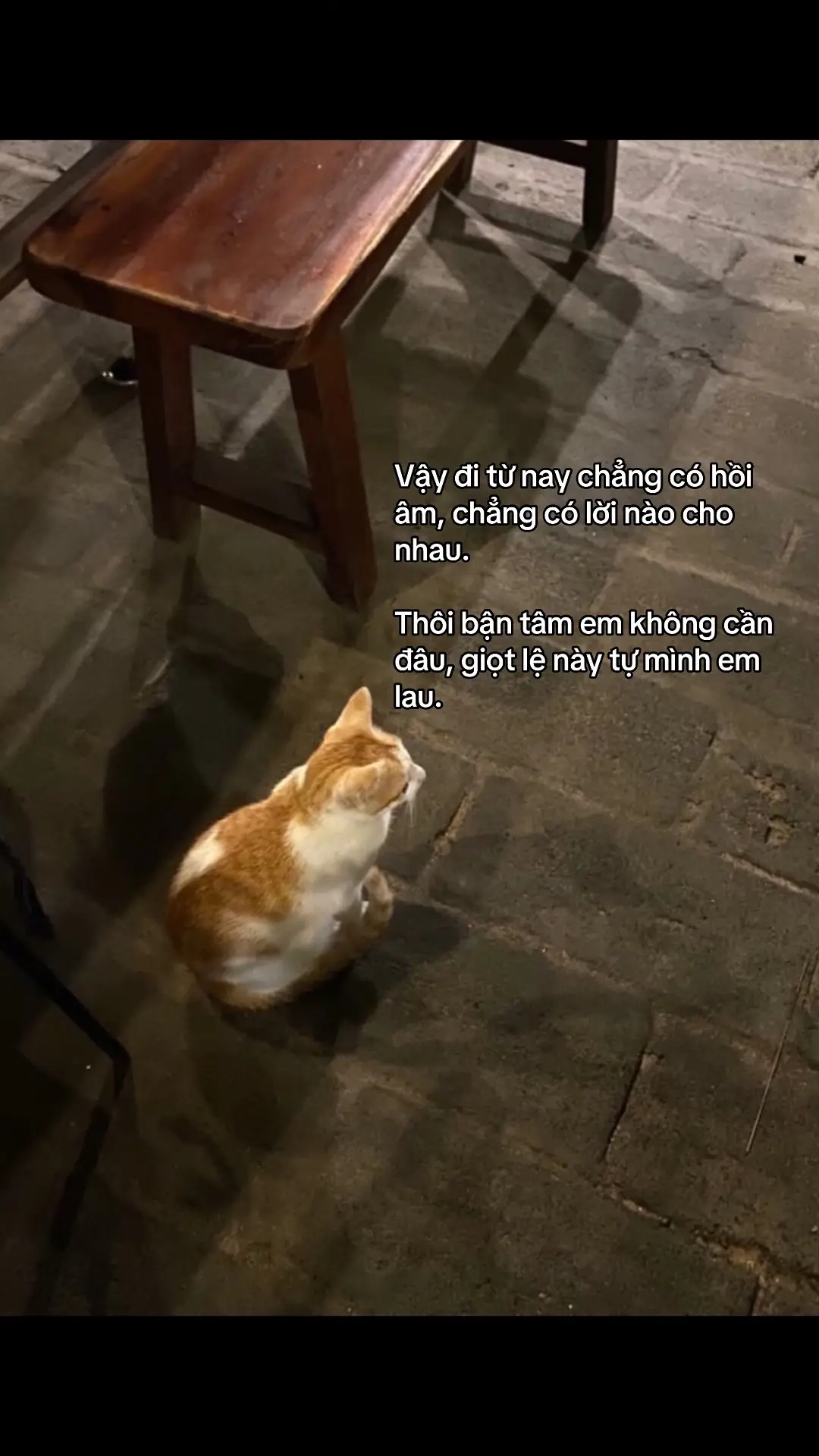 yêu một người có lẽ.