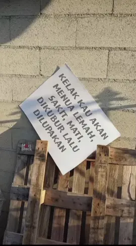 ,,, #fypシ゚ #brandatiktok #like4lyke #repost 