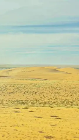 #desert du_tchad🇹🇩 صحراء_تشاد رحلة صيد الغزال 🦌 #ابن_صحراوي
