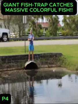 #rescue #animal #knowledge #explore #explain 