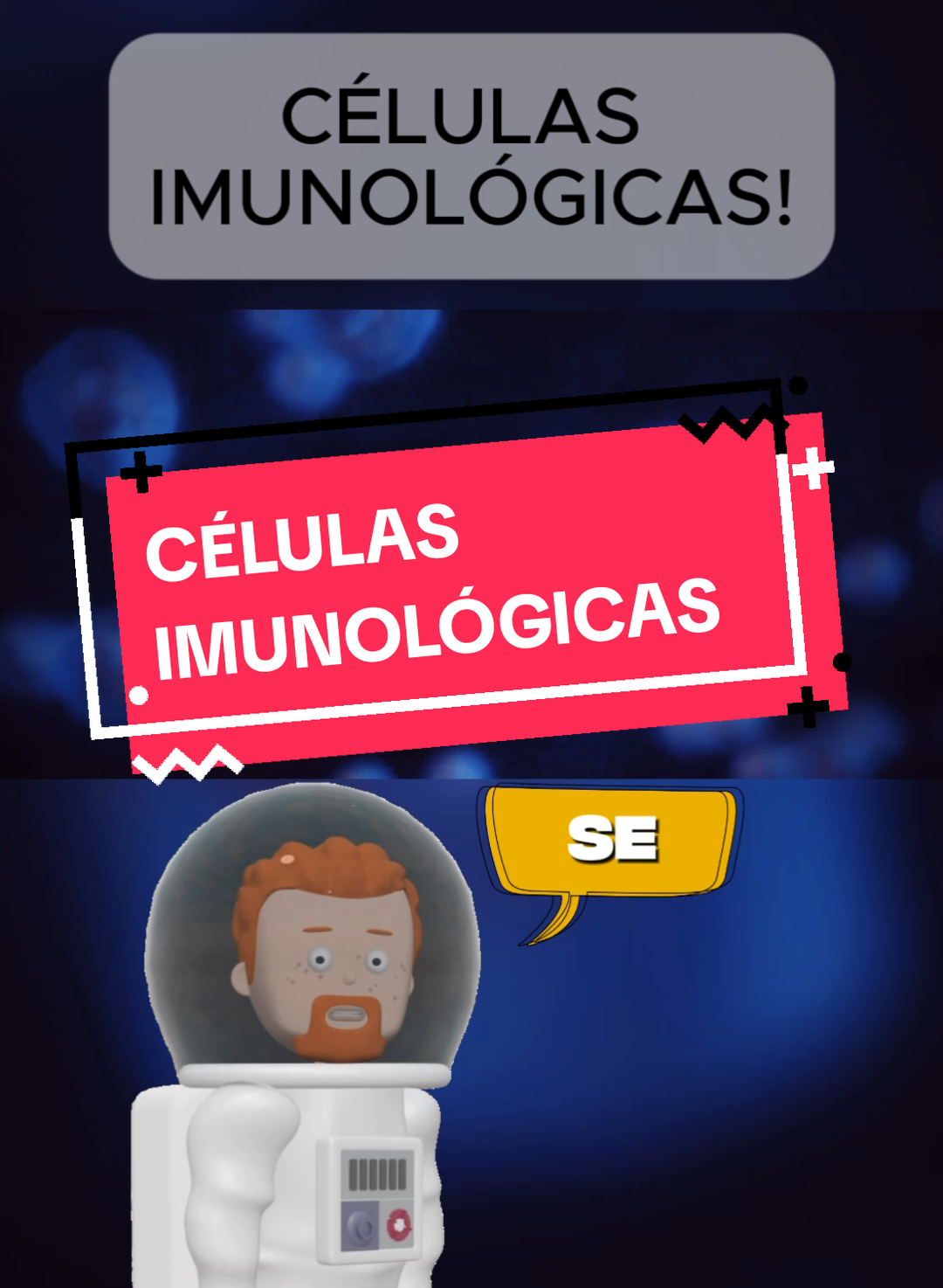 Veja o papel que as suas células imunológicas fazem no seu corpo 🧠. #ciência #células #corpohumano #curiosidades 
