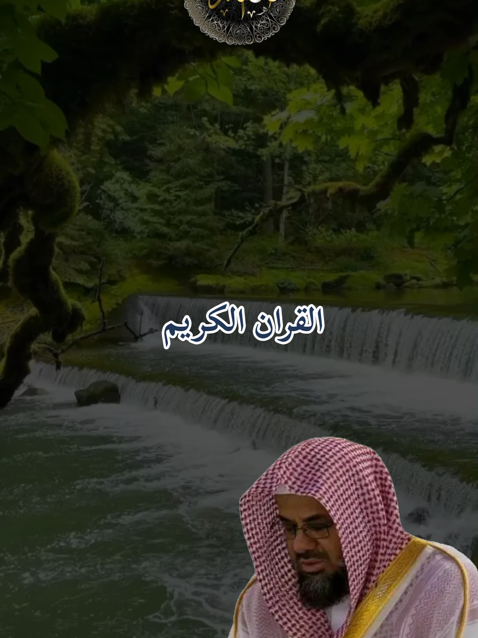 #القران_الكريم #تلاوة_خاشعة #راحة_نفسية #ارح_سمعك_بالقران #ماشاءالله_تبارك_الله 