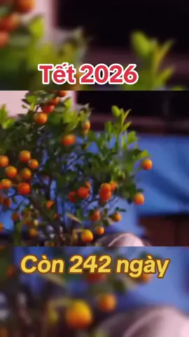 Có ai nghe nhạc mà nỗi da gà hôn🌼 #fyp #xuhuong #tet2026 #viral #tet2026caitetdoanvien #xuanbinhngo2026 #têt2026 