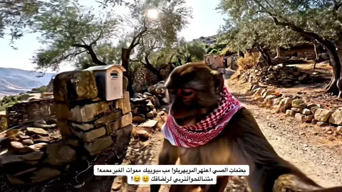 فلوق #قرود_الطايف #قرود_ابها #ذكاء_اصطناعي# fyp# #مسمار foryoupage #foryou# قرد #قردي# #كلنا_ذكاء_اصطناعي ve03# #ترند #قرود مضحكه #LIVEIncentiveProgram #LIVEConnection #PaidPartnership 