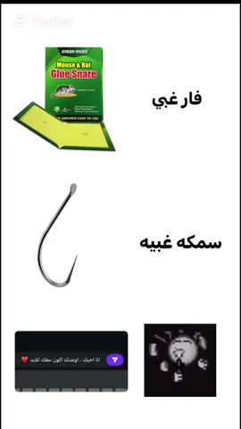 انسان غبي ؟ 🦯 #fyp #explor #CapCut 