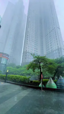 The Korean rainy season, or jangma, or monsoon what ever you called it starts today. 