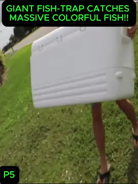 #rescue #animal #knowledge #explore #explain 