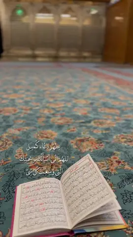 إِلهي بَطُهر دُعاء كُميل إِستجب دُعائي وَبلغني مُناي  #ياحسين #محرم #كربلاء #العتبة_الحسينية_المقدسة #دعاء_كميل #fyp 