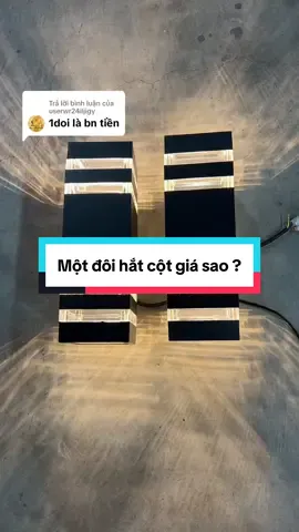 Trả lời @userwr24iljigy Vào combo đi bạn. Số lượng 1 là có ngay 2 chiếc nha. Nhớ là mua combo nha #vhatchlighting #tiktokshop #denhat2dau #denhatcot2dau 