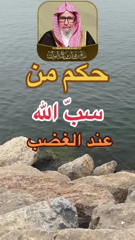 حكم من سب الله عند الغضب#tik_tok #islam #صدقه_جاريه #الفوزان_الالباني_ابن_باز_ابن_عثيمين 
