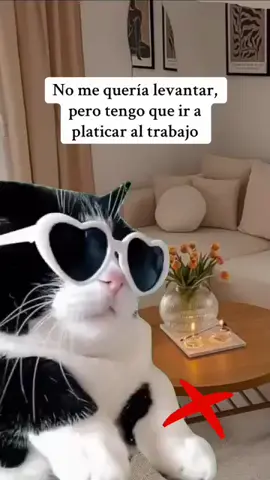 #animales #humor #risa #naturaleza #familia #amistad #amigos 