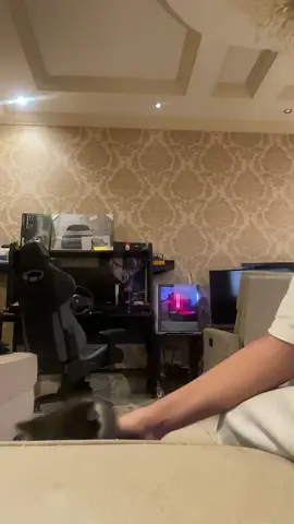 ##لايکـات 