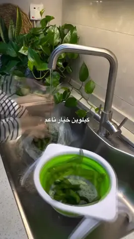#اللهم_صلي_على_نبينا_محمد #بغداد #fipシviral #كربلاء #العراق 