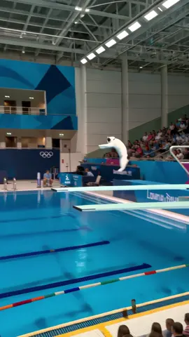Michi Olimpiadas 🐈🐈‍⬛ Vídeos creados con un nuevo modelo de IA que, como pueden ver, logra unas físicas increíbles: Hailuo 02 de @Hailuo AI (MiniMax)  Denle amor que si les gusta traeré más videos creados con Hailuo de las olimpiadas gatunas 😌😻 #hailuo #minimax #veo3gratis #veo3 #gatos #michi #olimpiadas 