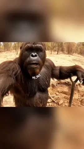 قرمد الصياد فلوك جديد #الشعب_الصيني_ماله_حل😂😂 