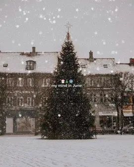 #christmastiktok #christmasseason #christmasvibes #happyholidays #christmasaesthetic #christmastree #winterseason #cozyvibes #cozyseason #christmasiscoming #christmastime #merrychristmas #explorepage 