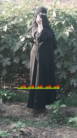 باميه 😂
