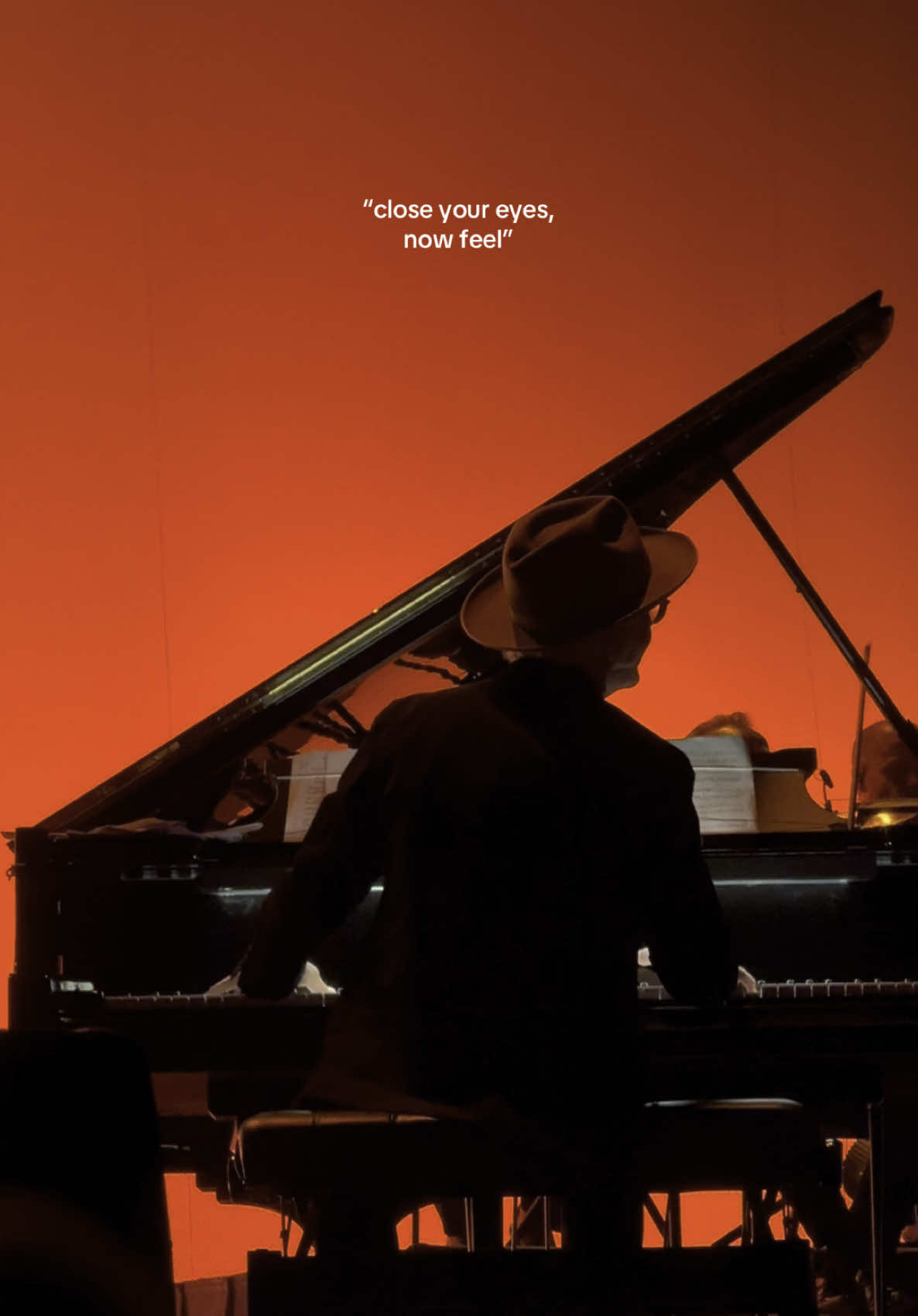 Bucket list moment @Ludovico Einaudi #ludovicoeinaudi #piano #concert #experience 