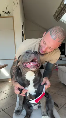 Con i prodotti mino'care mino farà innamorare tutte le cagnoline 😍🥰❤️