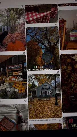 Yesterday was the perfect stormy day 🫶🏽⛈️🌲🍂🕯️☕️ #cozytok ##rainydayvibes #fallaesthetic #rainydays #rainyweather #autumnaesthetic #autumnal #falltok #autumntok #summerween #fallvibes #rainydayactivities #cozyathome #twilightsaga #twilighttiktok #twilightnewmoon #twilightcore #twilightaesthetic 