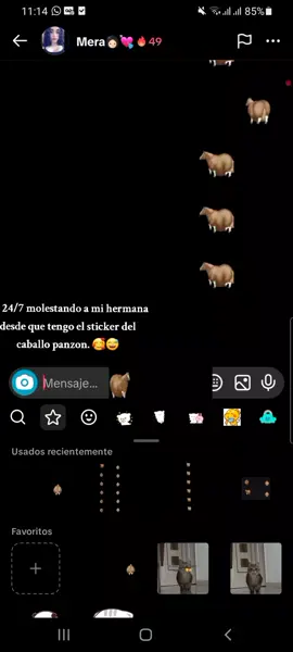 JAJAJA @Mera👩🏻‍🦱💘 #humortiktok #stikers #hermanas #viraltiktok #horse #caballo 