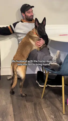 🤭 if it was up to Marko we’d have 5 dogs now!🤣
