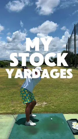 Those flys and I now share a special memory🥲 #fy #fyp #golfinfluencer @tipsyelves 