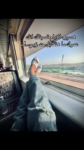 #محمودعوض 