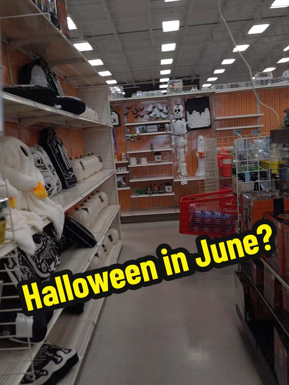 Michaels, I hear your statement and I support it. 🫡🌈🖤